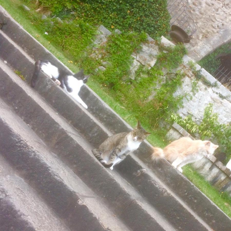 Chateau De La Cazette ซิสเตรง ภายนอก รูปภาพ